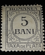 Error Romania 1920  Taxa De Plata 5 Bani Error Missing Point In Rhe Left Hook,with Watermark - Abarten Und Kuriositäten