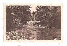 Chanac-Le Lot Au Pont-Vieux- (D.130) - Chanac