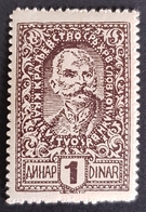1920, King Peter L, Kingdom SCS, SHS, Yugoslavia, *,**, Or Used - Unused Stamps