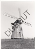 NUKERKE/MAARKEDAL - Originele Foto Jaren '70 A.Carre - Ter Hengst (Q55) - Maarkedal