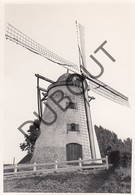 HERZELE- Originele Foto Jaren '70 A.Carre - Ter Rijstmolen (Q48) - Herzele