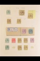 MIXED SORTER CARTON  An Unusual Accumulation Of Stamps, But Not Without Merit, We See Nepal On Printed Album Pages With  - Other & Unclassified