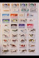 WORLD RANGES  20th Century Mint (many Modern Issues Are Never Hinged) And Used Stamps With Only Light Duplication Sorted - Other & Unclassified