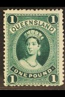 QUEENSLAND  1886 £1 Deep Green Chalon, SG 161, Mint With Good Colour And Large Part Gum, Small Gum Thin And Couple Of Sh - Other & Unclassified
