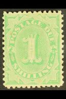 POSTAGE DUE  1902 1s Emerald Green, SG D19, Very Fine Mint. For More Images, Please Visit Http://www.sandafayre.com/item - Other & Unclassified