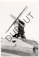 HERZELE - Originele Foto Jaren '70 A.Carre - Molen Te Rullegem (Q80) - Herzele