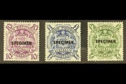 SPECIMENS  1948-56 10s, £1 & £2 High Values, Overprinted "SPECIMEN," SG 224bs/ds, Never Hinged Mint (3 Stamps). For More - Sonstige & Ohne Zuordnung