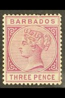1882-86  3d Deep Purple, SG 95, Mint, Few Nibbled Perfs. For More Images, Please Visit Http://www.sandafayre.com/itemdet - Barbados (...-1966)