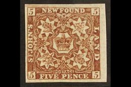 1862  5d Chocolate Brown, SG 19, Superb Mint Og With Large To Huge Margins All Round And Bright Colour. For More Images, - Otros & Sin Clasificación