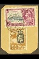 1935  1s Slate And Purple Jubilee, Variety "Lightening Conductor", SG 146c, Superb Used On Piece With 1922 1d. For More  - Gambie (...-1964)