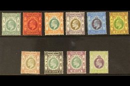 1904-06 MCA WMK FINE MINT GROUP  An Attractive KEVII Definitive Selection On A Stock Card With All Values To $1, SG 77/8 - Other & Unclassified