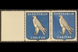 LABEL  1911 Falcon, Christmas Charity Label, Marginal Pair, Tiny Paper Adhesion To One Stamp, Otherwise Very Fine, Never - Otros & Sin Clasificación