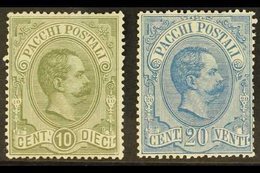 PARCEL POST  1884 10c Olive & 20c Blue, Sassone 1/2, Mi 1/2, 20c Blunt Perfs At Right, Otherwise Never Hinged Mint (2 St - Unclassified