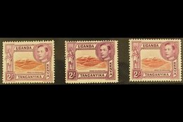 1938-54 MINT TWO SHILLING DEFINITIVE SET.  An All Different Fine Mint Group Presented On A Stock Card, Inc Lake Brown &  - Vide