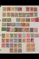 SELANGOR  1885-1985 Mint And Used Collection On Album Pages Which Includes 1891-95 Set With The 5c Blue Mint, 1895-99 Se - Andere & Zonder Classificatie