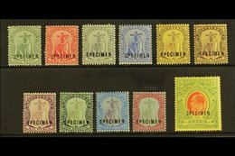 1908-14  Complete Set With "SPECIMEN" Overprints Inc Both 3d, SG 35s/47s & 40as, Fine Mint, 5s With One Shortish Perf At - Montserrat