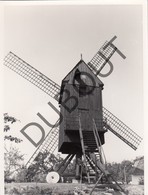 MALDEREN/OPWIJK  - Originele Foto Jaren '70 A.Carre - HeideMolen  (Q90) - Opwijk