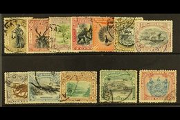 1897-02  Pictorials Set (one Of Each Value) Complete, SG 92/109, Fine Used (12 Stamps) For More Images, Please Visit Htt - Nordborneo (...-1963)