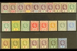 1904-12 MINT KEVII SELECTION  Presented On A Stock Card That Includes 1904-05 Set To 1s & 5s And 1907-12 Set To 5s. A Mo - Sierra Leona (...-1960)