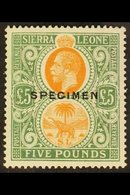 1921-27  £5 Orange And Green Opt'd "SPECIMEN", SG 148s, Never Hinged Mint. Very Scarce In This Condition. For More Image - Sierra Leone (...-1960)