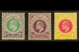 NATAL  1902 2s, 2s 6d & 4s Ed VII Top Values, SG 137/9, Very Fine And Fresh Mint. (3 Stamps) For More Images, Please Vis - Ohne Zuordnung