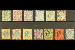 TRANSVAAL  1904-09 Ed VII MCA Wmk Set Complete On Ordinary Paper, SG 260/72, Fine Mint. (13 Stamps) For More Images, Ple - Unclassified