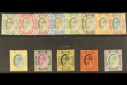TRANSVAAL  1904 Ed VII Set To £1 Complete, Wmk MCA, SG 260/72a, Very Fine Mint. (13 Stamps) For More Images, Please Visi - Unclassified