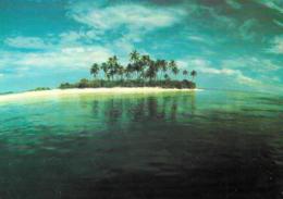 [MD3002] CPM - MALDIVE - UNINHABITED ISLAND - ART EDITION - BY ERIC KLEMM - Non Viaggiata - Maldivas