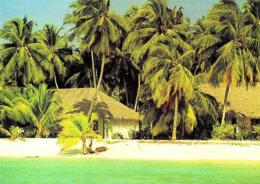[MD3003] CPM - MALDIVE - KURUMBA VILLAGE - ART EDITION - BY ERIC KLEMM - Non Viaggiata - Maldivas