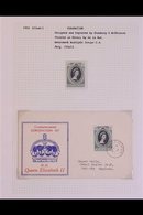 1953-2003 NEVER HINGED MINT COLLECTION WITH MANY ADDITIONAL FIRST DAY COVERS  A Substantial Collection Well Written Up A - Tristan Da Cunha