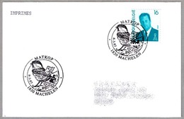 CARBONERO MONTANO - WILLOW TIT - MATKOP. Machelen 1997 - Afstempelingen & Vlagstempels