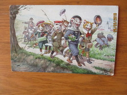 THIELE , CATS CLASS GOES TO PICNIC , FROG  ,  OLD POSTCARD ,0 - Thiele, Arthur