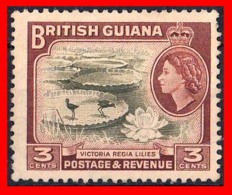 GUAYANA BRITANICA ( SUR AMERICA )  SELLO AÑO 1938 -1952 LOCAL MOTIVES - Guyana (1966-...)