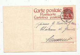 Entier Postal , Suisse, Carte Postale , CAROUGE ,1924, 2 Scans - Stamped Stationery