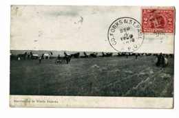 Harvesting In North Dakota - Récolte Du Blé Dans La Plaine, Faucheuses En Nombre - Circulé 1909, Voir Cachet RMS - Altri & Non Classificati