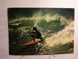 Sport - Ski Nautique - Surf - Wasserski