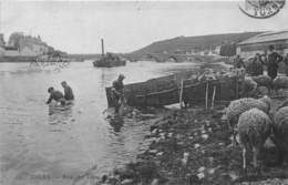 89-JOIGNY- BORDS DE L'YONNE LAVAGE DES MOUTONS - Joigny