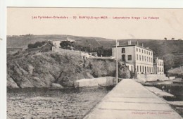 ***  66  ***  BANYULS SUR MER   Laboratoire Arago La Falaise  TTBE Neuve - Banyuls Sur Mer