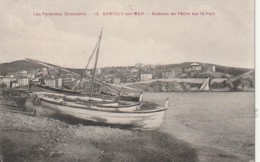 ***  66  ***  BANYULS SUR MER   Bateaux De Pêche Sur Le Port  TTBE Neuve - Banyuls Sur Mer