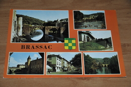 8595-   BRASSAC, VIEUX PONT ET RIVES DE L'AGOUT - Brassac