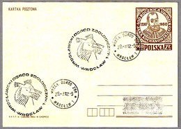SOMORMUJO - GREAT CRESTED GREBE - Podiceps Crestatus - Zoo. Wroclaw, Polonia, 1982 - Mechanical Postmarks (Advertisement)