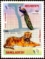 BIRDS-PEACOCKS-INDIAN PEAFOWL WITH ROYAL BENGAL TIGER- DHAKA ZOO- BANGLADESH-1984-MNH-A5-886 - Pauwen