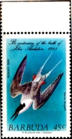 BIRDS-MARINE BIRDS-ROSEATE TERN & OTHERS- FULL SET OF 4- AUDUBON BIRDS- BARBUDA-1985-MNH-A5-884 - Albatros