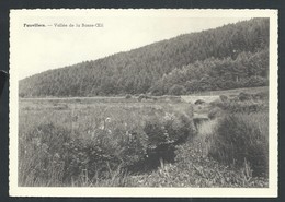 +++ CPA - FAUVILLERS - Vallée De La Basse Oeil   // - Fauvillers