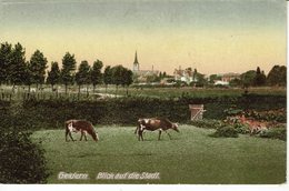 GELDERN-BLICK AUF DIE STADT - Geldern