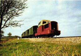 1 Cpsm Train En Direction De Noyelles Sur Mer - Noyelles-sur-Mer