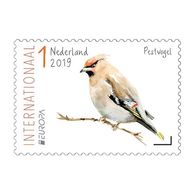 Nederland / The Netherlands - Postfris / MNH - Complete Set Europa, Vogels 2019 - Unused Stamps