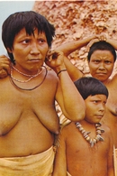 VENEZUELA INDIO  Bari Indians Naked Woman Boys, Old Postcard - Non Classificati