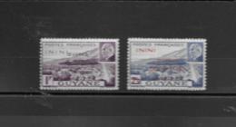 57 58  *  Y & T  Maréchal Pétain  « Œuvres Coloniales »  *Inini*  54/59 - Unused Stamps
