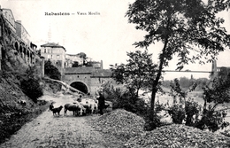 81. TARN - RABASTENS. Vieux Moulin. Berger Et Moutons. - Rabastens